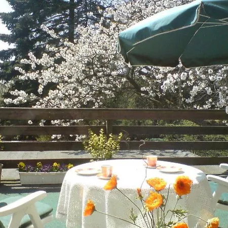 Mit Dachterrasse By Interhome Appartamento *